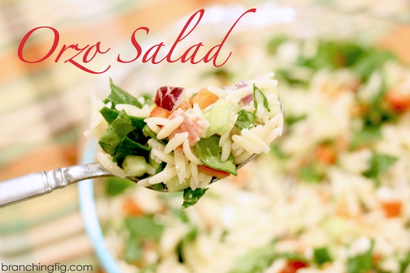 orzo salad recipe